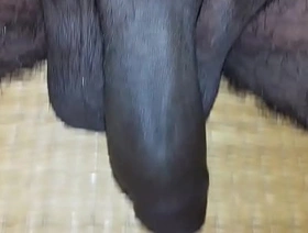 Mayanmandev xvideos indian exposed photograph - 89 gay porn boatswain's pipe indonesia