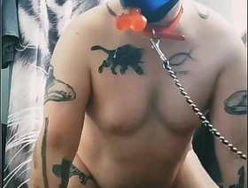 Gaywolf is Mastino Grande gay asian korean porn