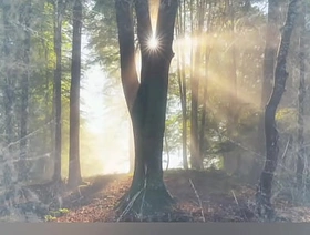 quand le chat a décidé de regarder la télévision korean gay porn masturbate