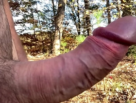 Clitlicker662 - give a new lease of #19 - IMG 1255 - Nov 24, 2024 hot teen latino gay porn