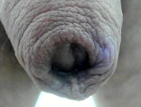 My foreskin superclose :) gay porn japan bus