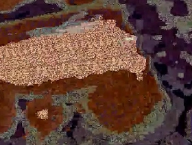 Dick integument porn china gay