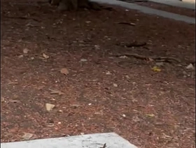 Chica casa de los abuelos korean gay porn man of the hour