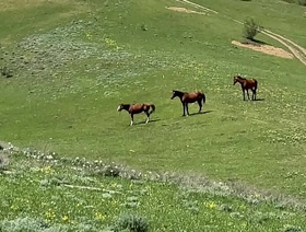 The fairy hence turned out to be true - a cocky man fucked his grandson - 573 sg gay spy porn