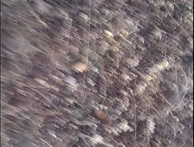 Punheta em público gay porn twink korean