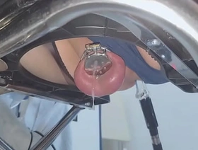 chastity prostate parasynthetic milking korean gay office porn